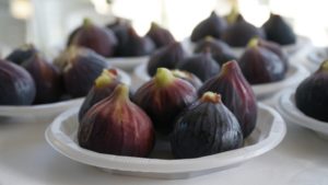 Mustafakemalpaşa’da incir festivali başlıyor