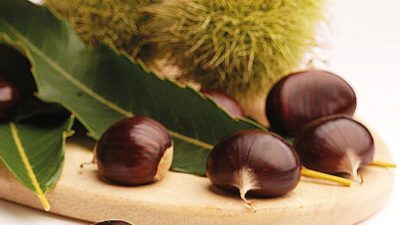 Tarihiyle ve doğsayıla olduğu kadar kültürel zenginlikleriyle de öne çıkan