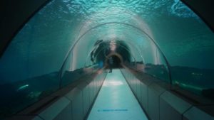 Yıldırım’daki tünel akvaryuma 2022’de 250 bin ziyaretçi
