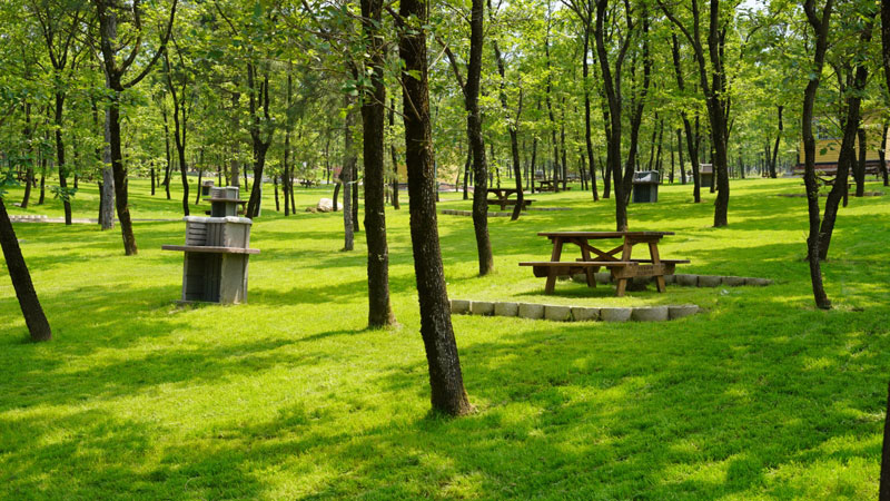 Bursa’daki en iyi 10 piknik yeri